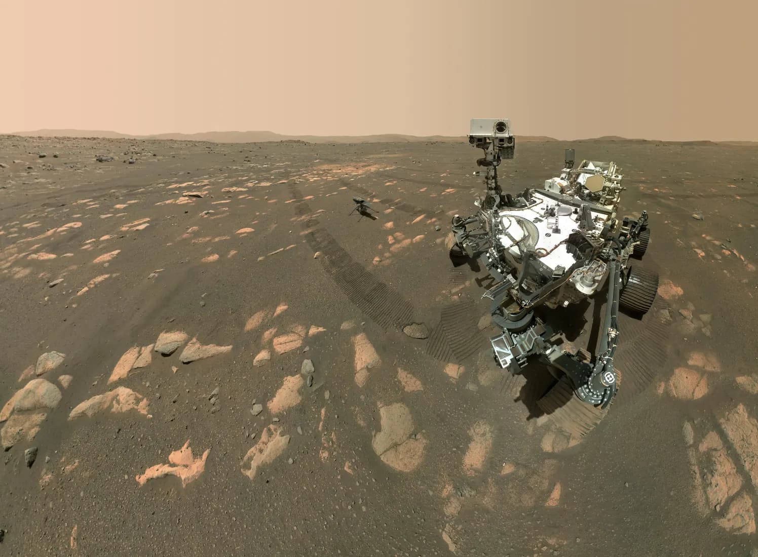 Selfie de Perseverance